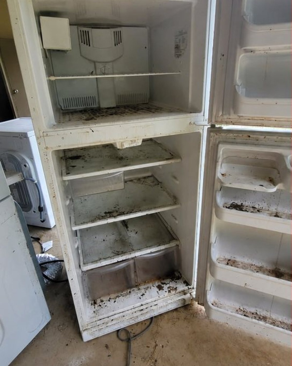 Refrigerator interior heavily soiled, shelves and seals caked with residue.